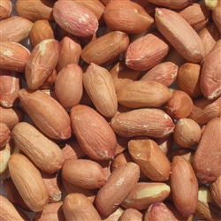 Peanut Kernels