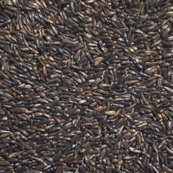 Nyjer Seed