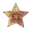 110c Golden Snowflake Star