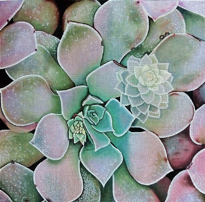 426 Pastel Succulent