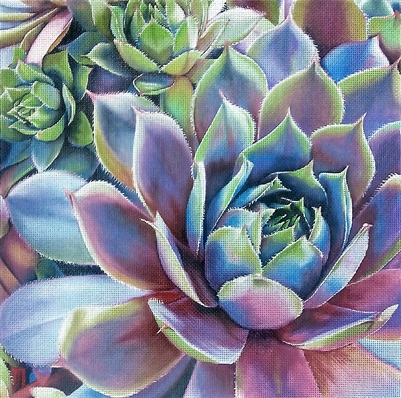 428 Lavendar Succulents