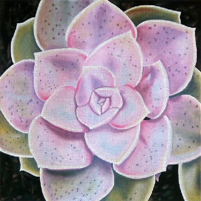 430 Sm. Pale Pink Succulent