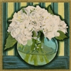 805j White Hydrangea