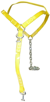 <h3>1" Century  Basket Strap w/ Chain</h3>