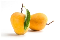 Alphonso Mango 6 Fruits