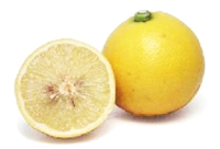 Exotic Fruit Market grows Bergamot Sour Orange in California, USA since 2003. The Bergamot Orange is a surprisingly nutritious citrus fruit that has a fresh scent and a very useful essential oil which is taken from the peel.