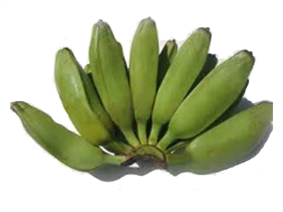 The Burro banana is occasionally sold under the name chunky banana as it is stubbier and more of a square shape than the common banana. Its peel is a rich, vivid, dark green that turns deep yellow with characteristic black spots when ripe.