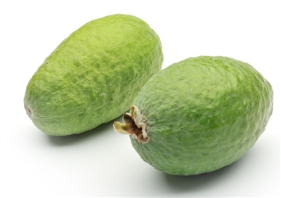 Feijoa is a very rich source of soluble dietary fiber which makes it a good bulk laxative. The fiber content helps protect the colon mucous membrane by decreasing exposure time to toxins as well as binding to cancer-causing chemicals in the colon.