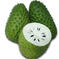 Soursop is the fruit of Annona muricata, a broadleaf, flowering, evergreen tree. The exact origin is unknown; it is native to the tropical regions of the Americas and is widely propagated.