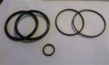 RHINO TURN TABLE SEAL KIT