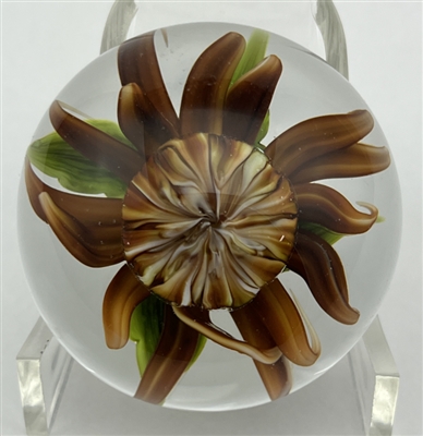 1990 Rick Ayotte Miniature Chrysanthemum