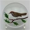 1980 Rick Ayotte Wood Thrush