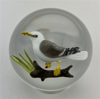 1980 Rick Ayotte Herring Sea Gull