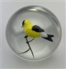 1979 Rick Ayotte Miniature Male Goldfinch