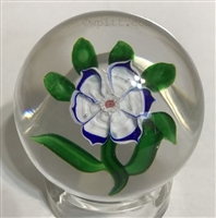 Antique Baccarat Anemone