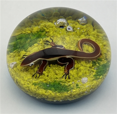 1973 Baccarat Salamander