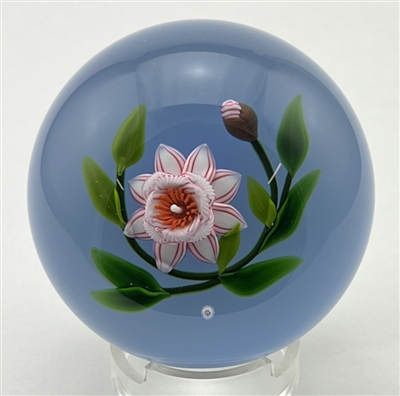 1994 Baccarat Magnolia Glass Paperweight