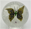 1994 Caithness Yellow Butterfly â€“ Latticinio Base