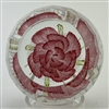 Caithness Princess Paperweight