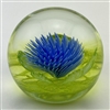 Caithness Anemone Glass Paperweight