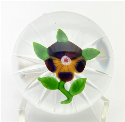 Baccarat Dupont Pansy