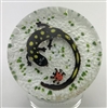 Gentile Salamander and Ladybug