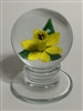 Kaziun Yellow Pedestal Daffodil