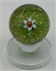 Charles Kaziun Pedestal Spider Lily