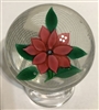 New England Glass Company Poinsettia