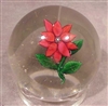 New England Glass Co. Poinsettia