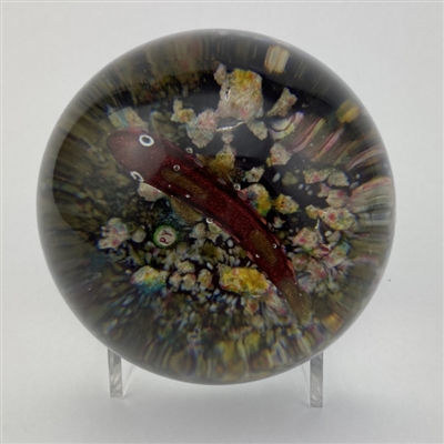 Paul Ysart Fish Paperweight