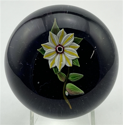 Paul Ysart Double Clematis Paperweight