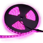 Hot Pink LED Strip Light -12 Volt DC, IP68 Waterproof/Submersible, 300 5050 LEDs, 60/Meter, Black 10mm PCB, 72 Watts/Reel, Waterproof Connector Set, Mounting Clips/Screws - Commercial Quality 2oz/Meter Copper
