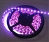 Hot Pink LED Flex Strips Ribbon Lights -12vdc, Waterproof, 300 LED 5050, Pink, High Output - 5M Spool