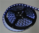 Purple/UV LED Flex Strips -12vdc, Waterproof, Double Density, UV, High Output - 5M Spool