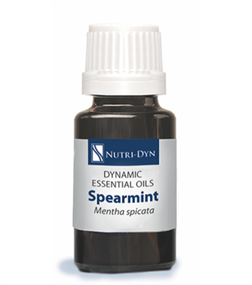 Dynamic Essentials Spearmint