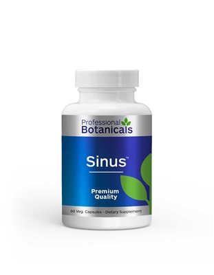 Sinus