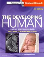 Developing Human: Clinically Oriented Embryology