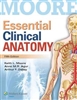 Essential Clinical Anatomy 5th Edition