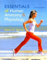 Essentials of Human Anatomy & Physiology