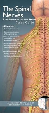 Illustrated Pocket Anatomy: Spinal Nerves and the Autonomic Nervous System Study Guide