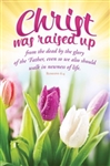 Bulletin-Christ Was Raised Up: 0730817356013