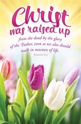 Bulletin-Christ Was Raised Up: 0730817356013