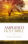 Amplified Holy Bible (Revised): 9780310443902