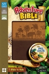 NIV Adventure Bible (Full Color): 9780310729693