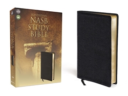 NASB Study Bible: 9780310910947