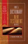 AMG's Comprehensive Dictionary Of New Testament Words: 9780899577401
