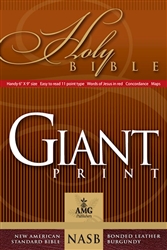 NASB Giant Print Handy-Size Bible: 9780899579450