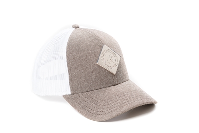 Vintage AC Logo Hat, Liquid Metal, Gray/White Mesh