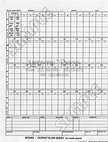 Intake & Output Flow Sheet